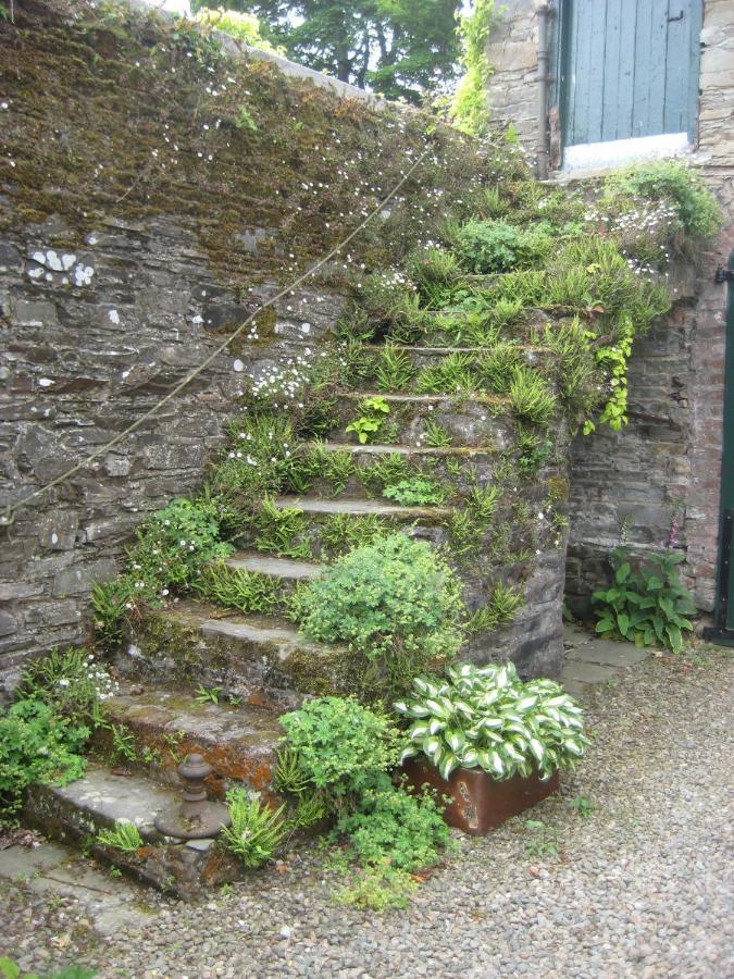 Ballydugan Country House Downpatrick Exterior foto